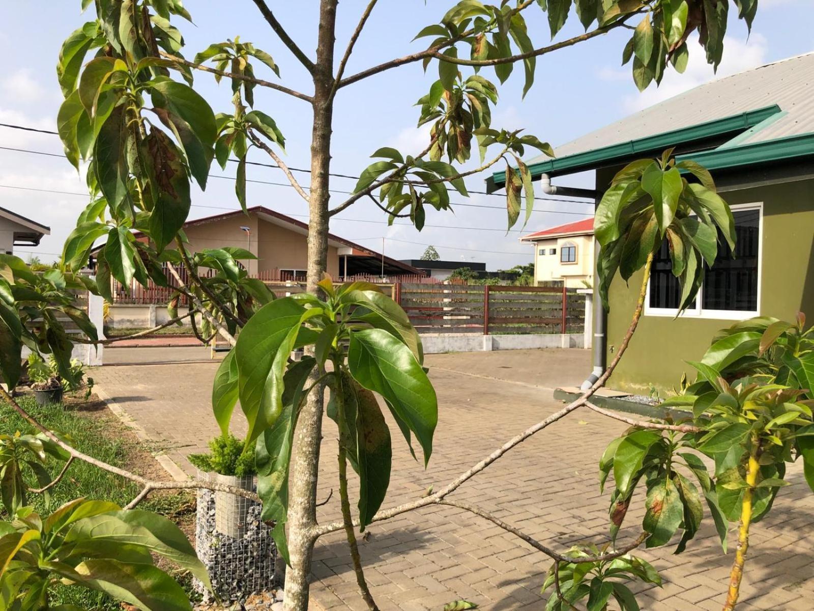 Appartamento Grapefruitstraat Paramaribo Esterno foto
